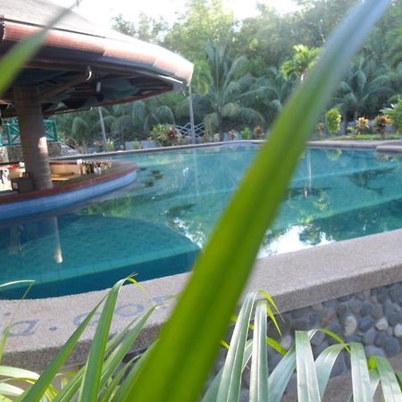 Aqua-Landia Resort Dauin Extérieur photo
