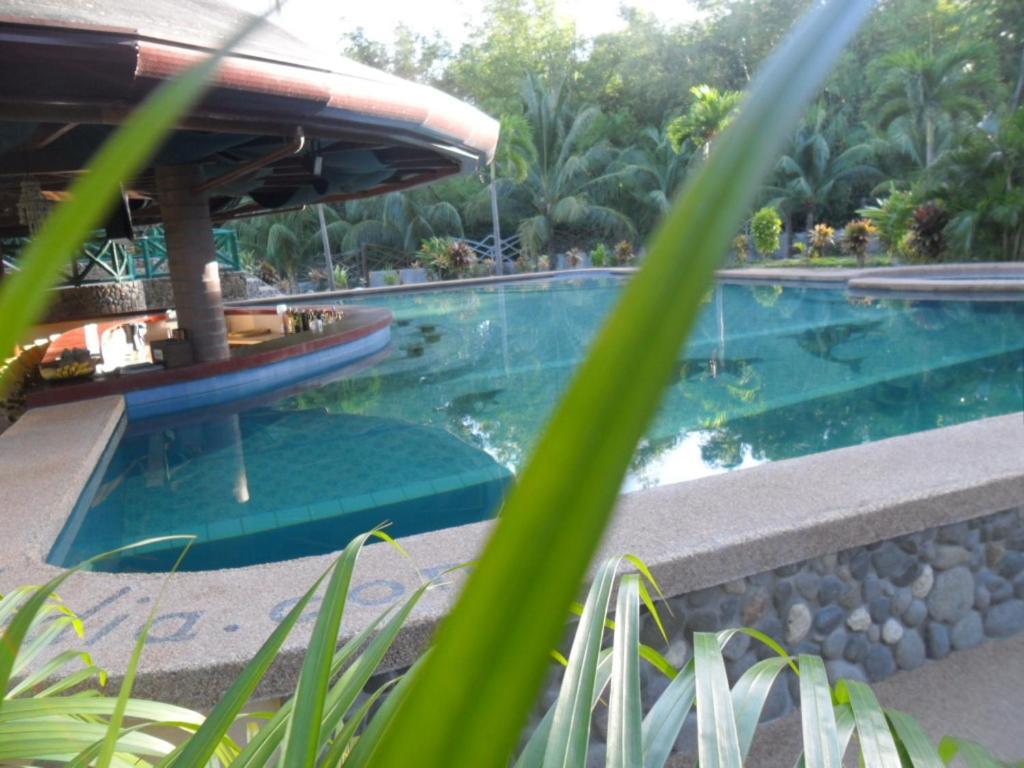 Aqua-Landia Resort Dauin Extérieur photo