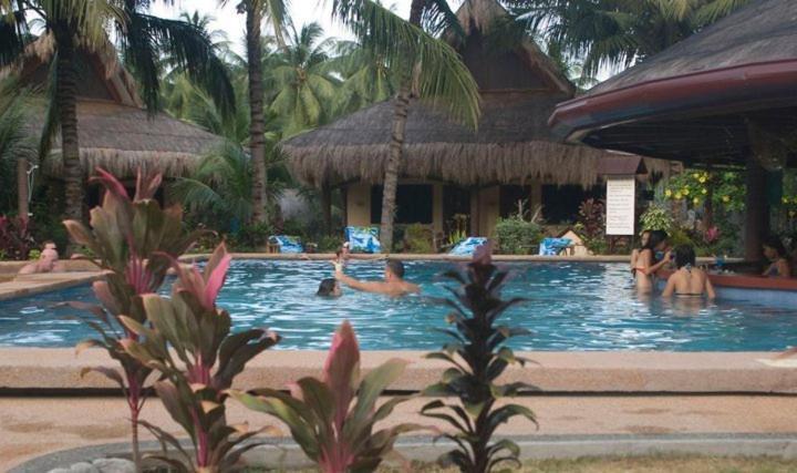 Aqua-Landia Resort Dauin Extérieur photo