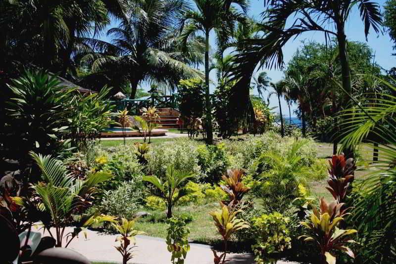 Aqua-Landia Resort Dauin Extérieur photo