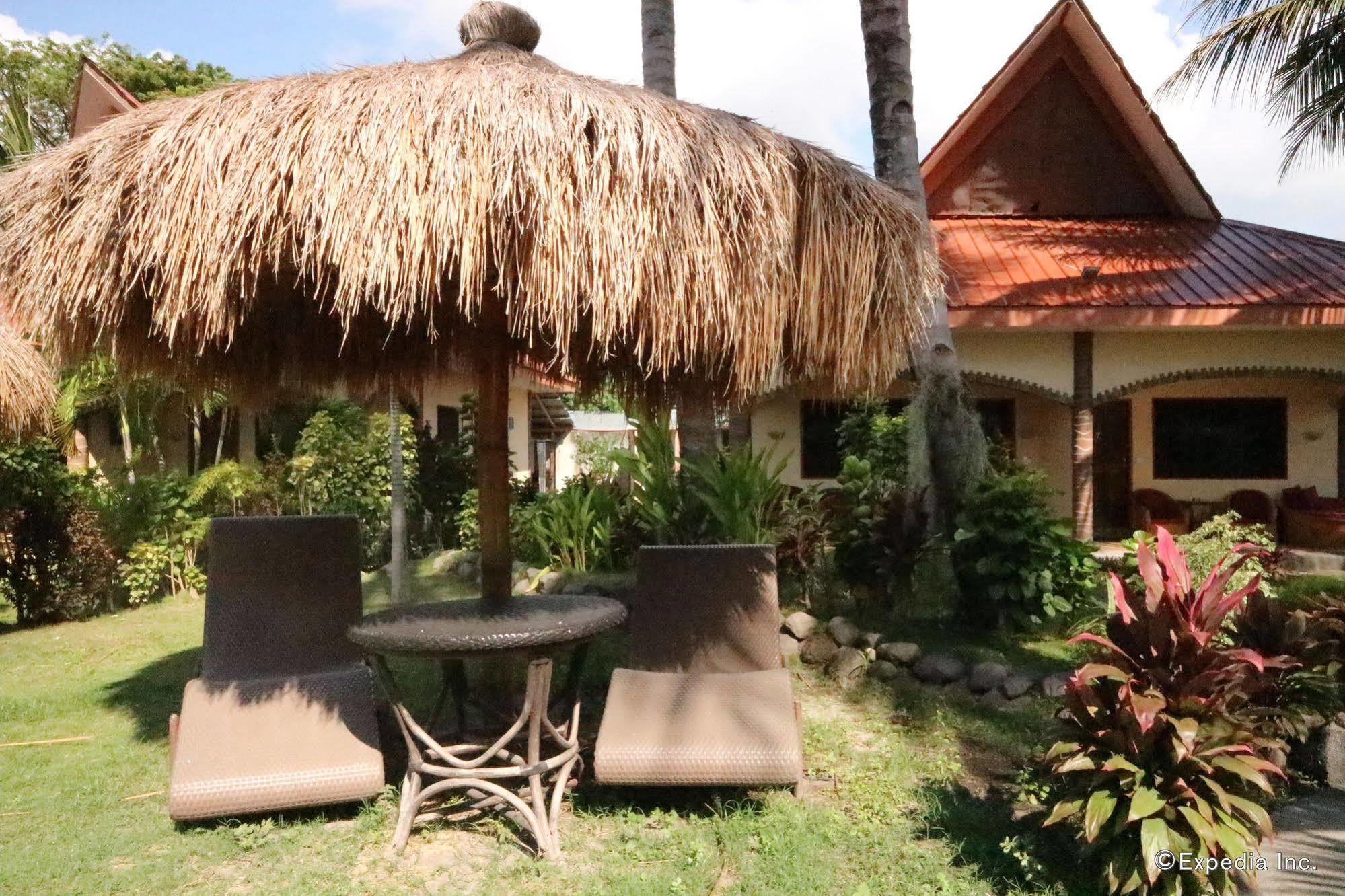 Aqua-Landia Resort Dauin Extérieur photo
